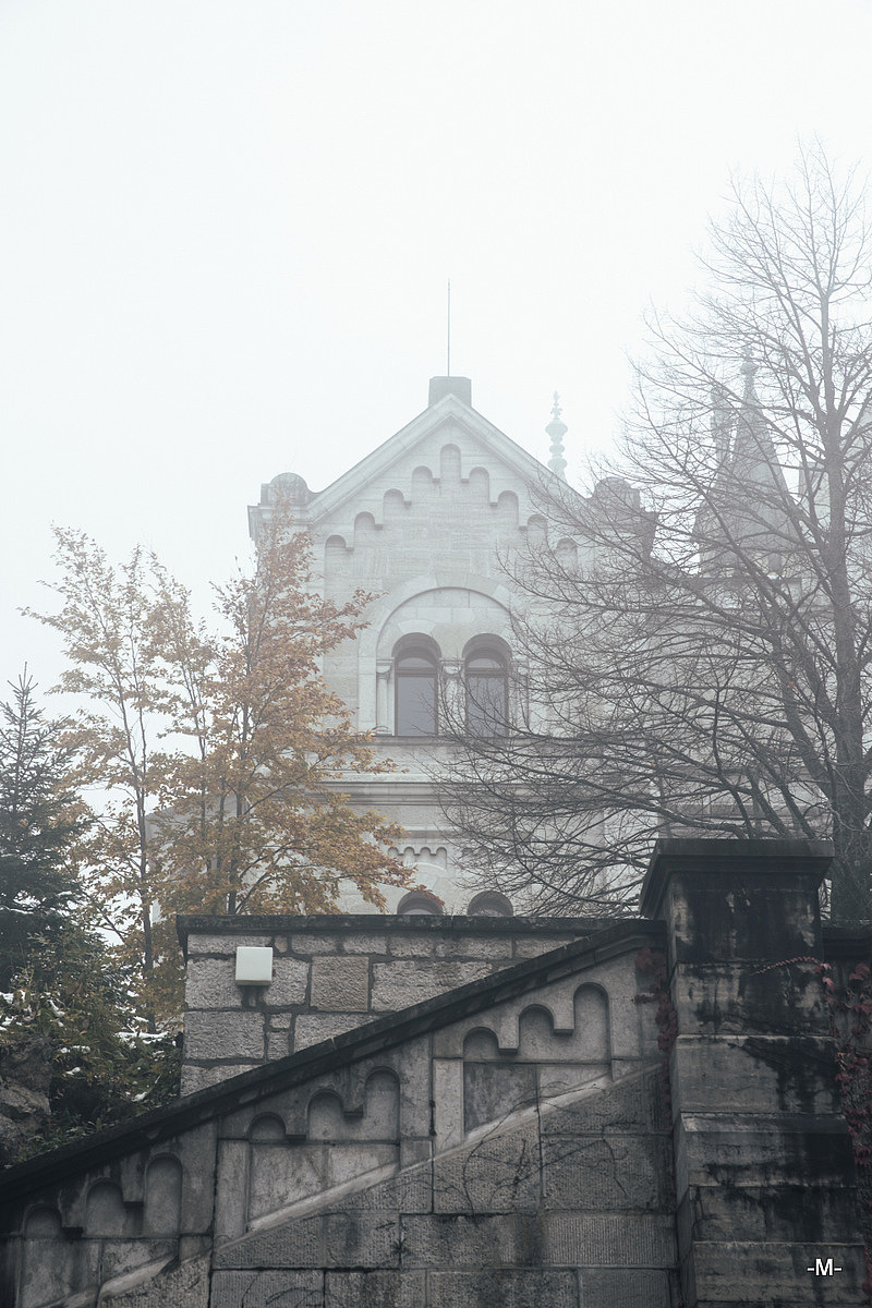 内部的整体结构其实出人意料的简单，恐怕是维修完成的关系，最高的一座塔楼还没有塔建路德维希二世就被驱逐，可惜这作童话城堡也只能保持着一副未完成的模样了！其实，迪斯尼公园的城堡，或许就是它完成后的模样了吧~
