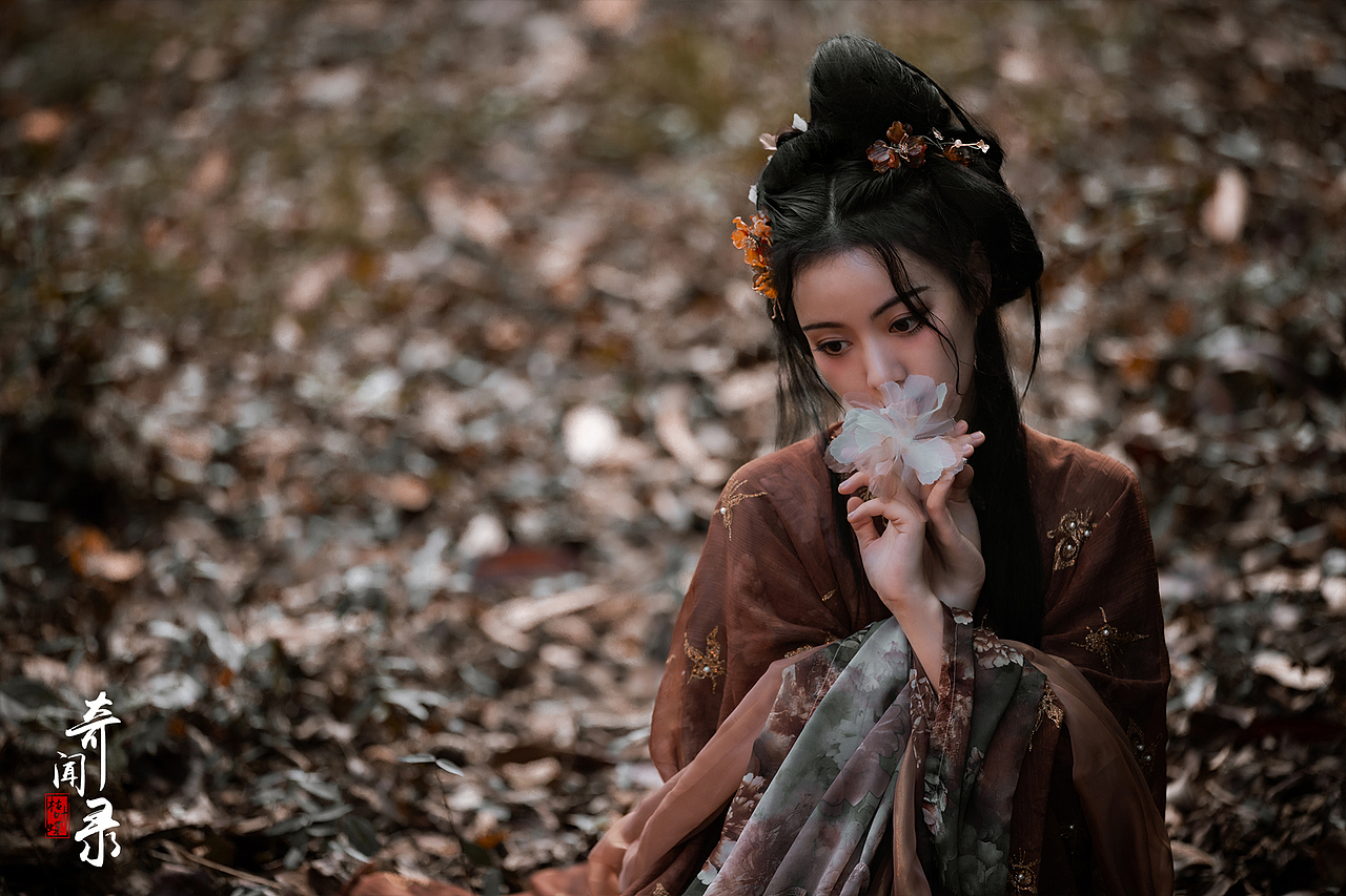 奇闻录·枯叶蝶