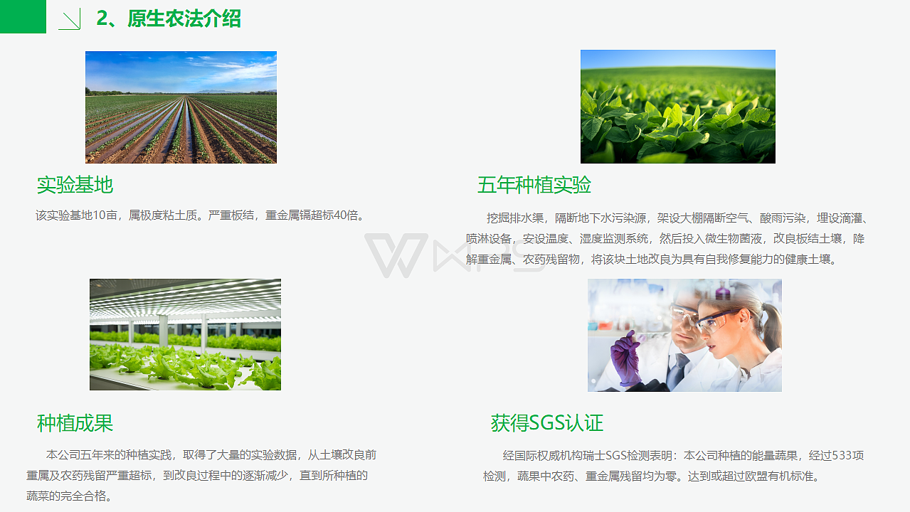 广东原生农业生物科技有限公司ppt（图ZMTE3MzEzODU2） - PPT/Keynote - 站酷设计师RexW一studio原创素材 - 站酷ZCOOL