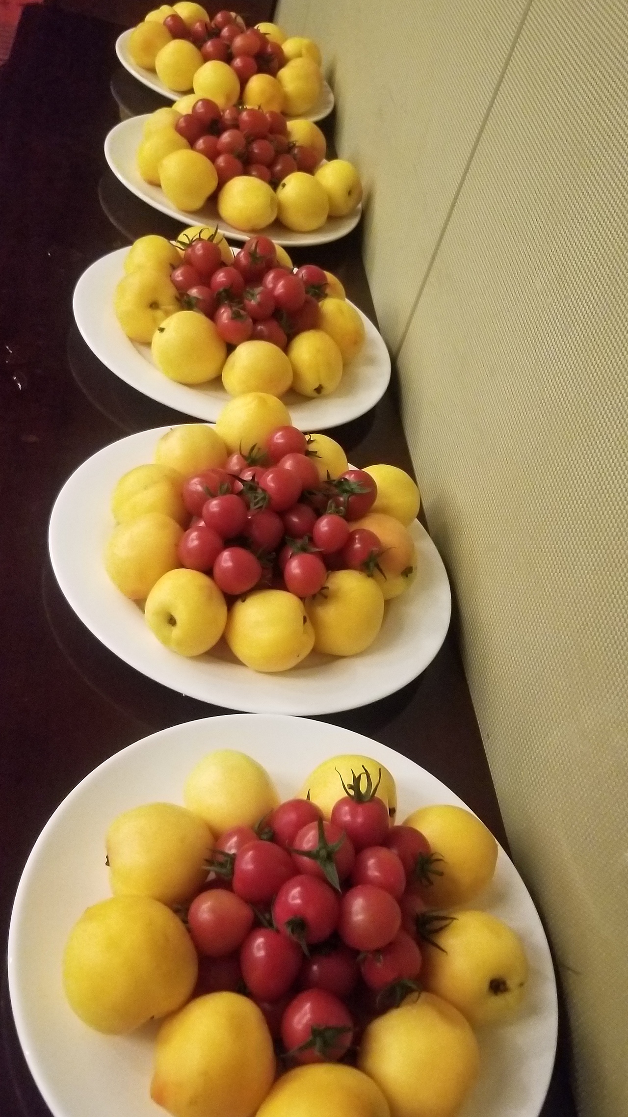 郎玛瓷砖-经销商财富峰会-杭州站