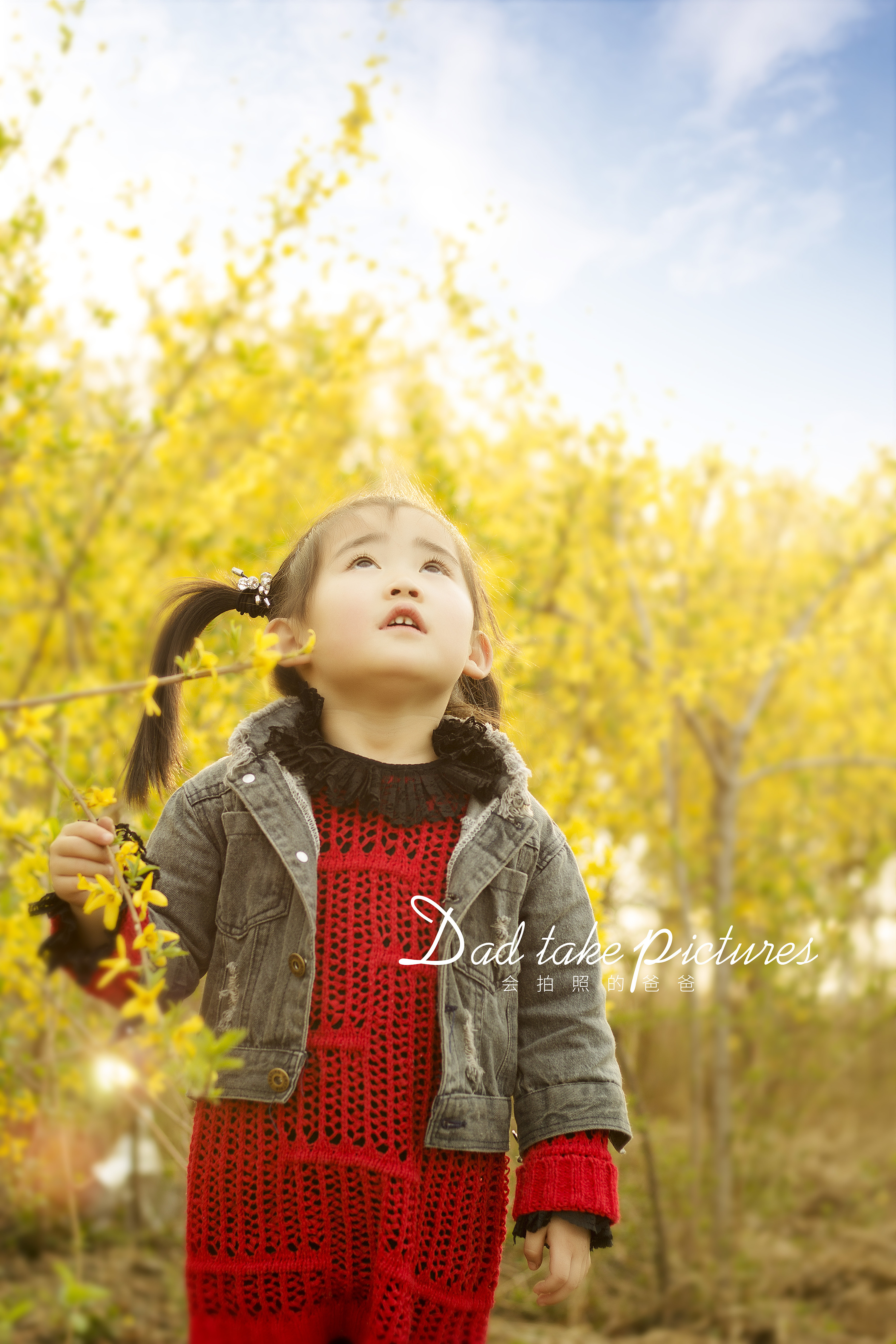 热爱春天的小姑娘