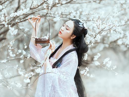 梅花三弄