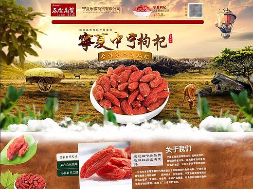 合成首页