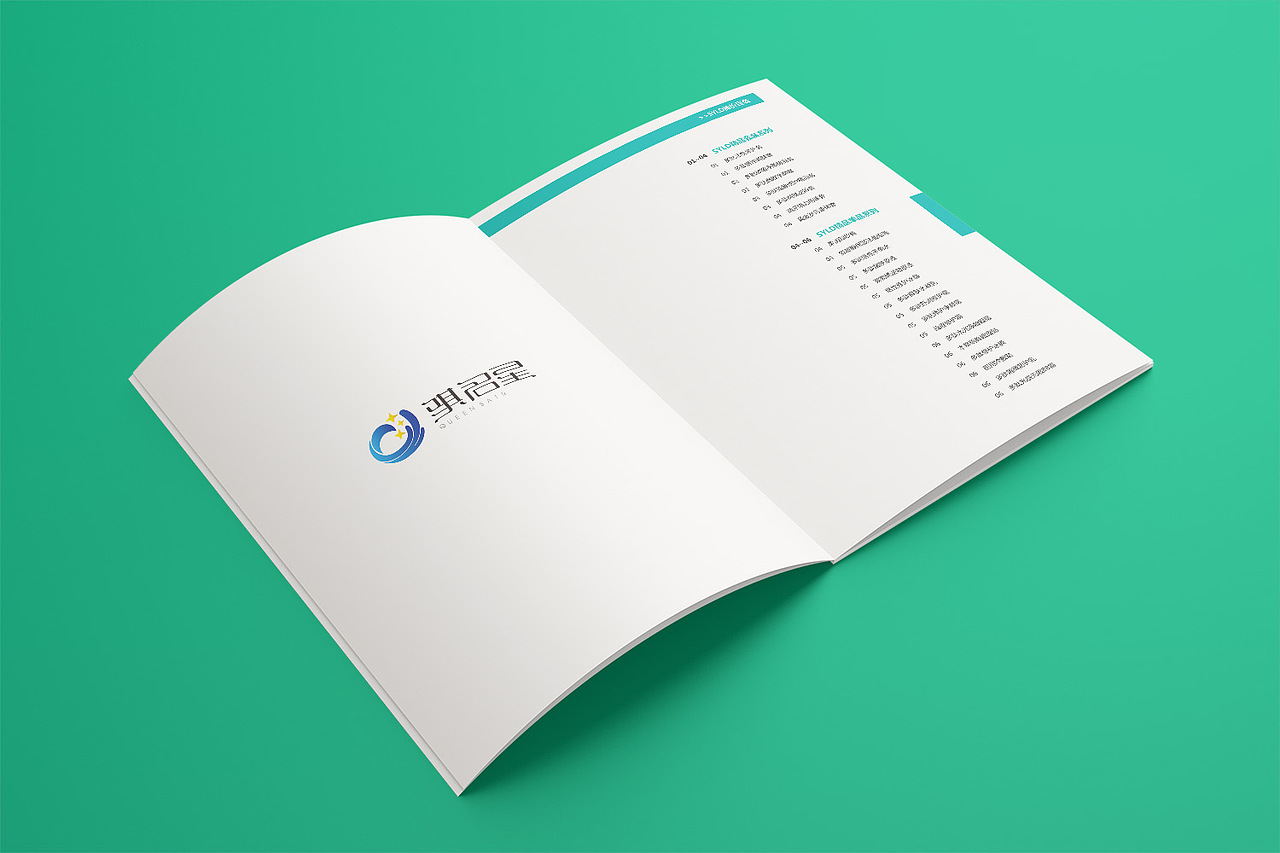 商品报价表--骐名星