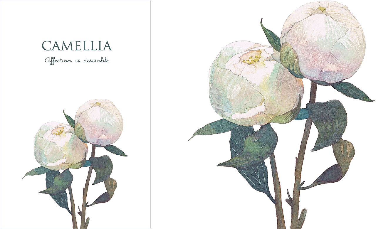 米拉贝尔花园（图ZMTE0OTA0NzA0） - 商业插画 - 站酷设计师邬葱原创素材 - 站酷ZCOOL