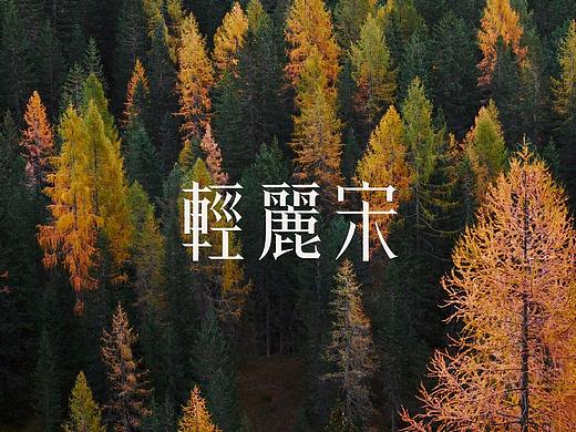 字体设计之輕麗宋