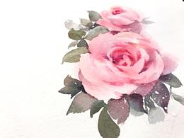 水彩静物、动物