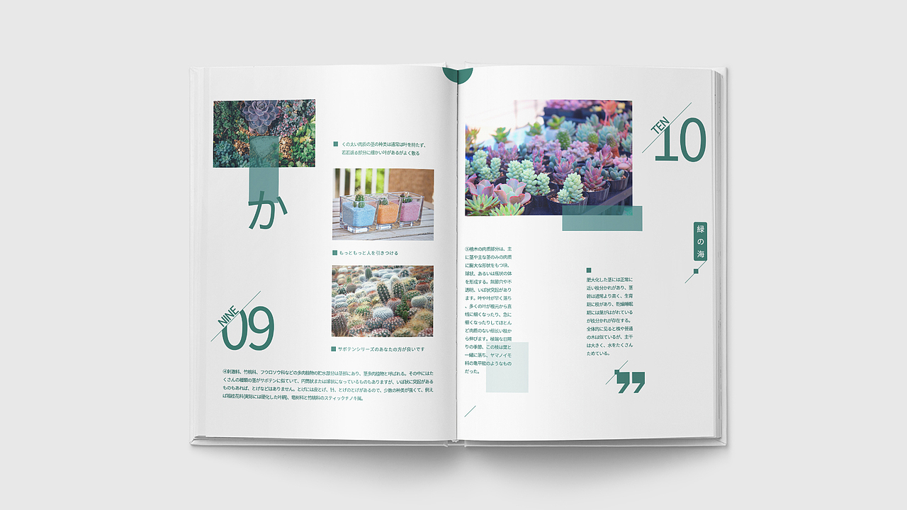 画册（图ZMTcyNzQ2MjA0） - 书籍/画册 - 站酷设计师CAONEZERO原创素材 - 站酷ZCOOL