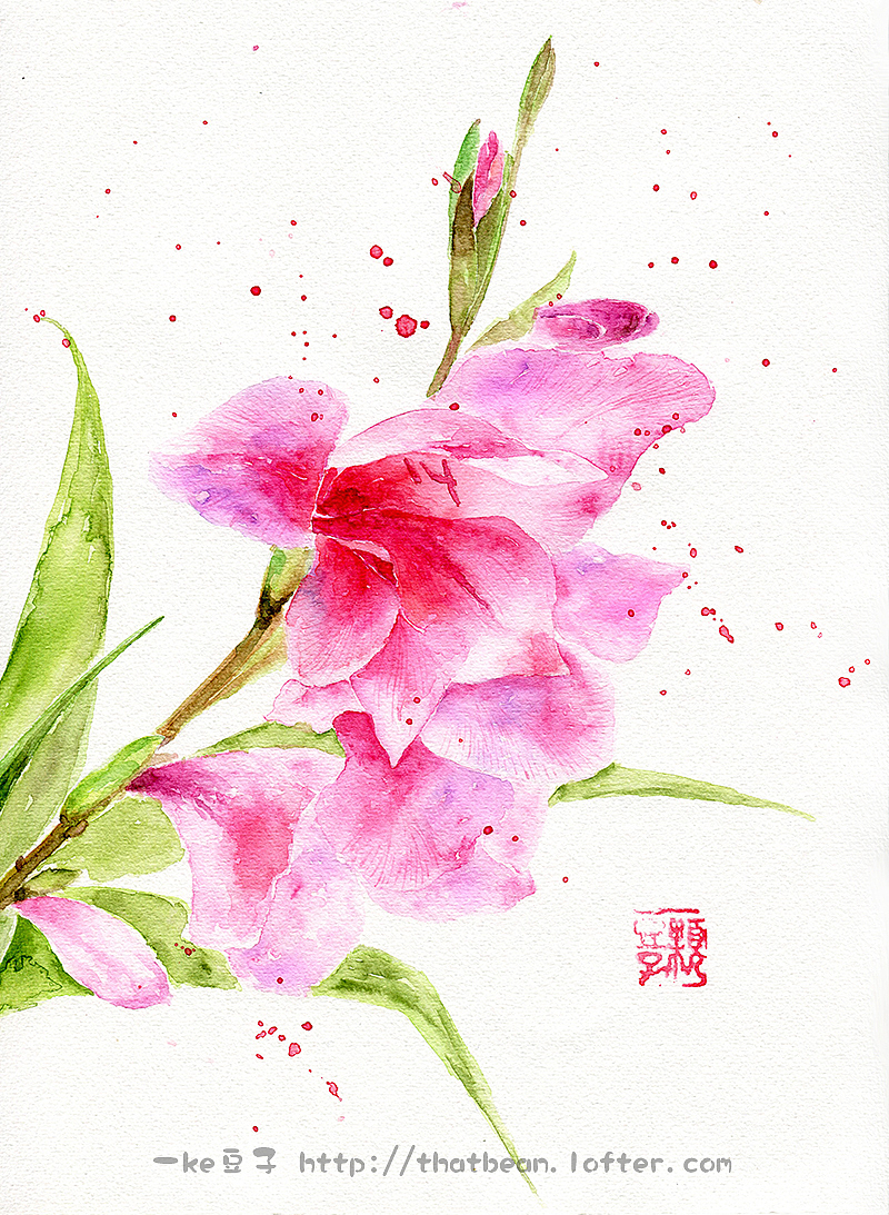 水彩插画－花卉系列（图ZMTg3Mzg1NzI=） - 商业插画 - 站酷设计师Jessie一颗豆子原创素材 - 站酷ZCOOL