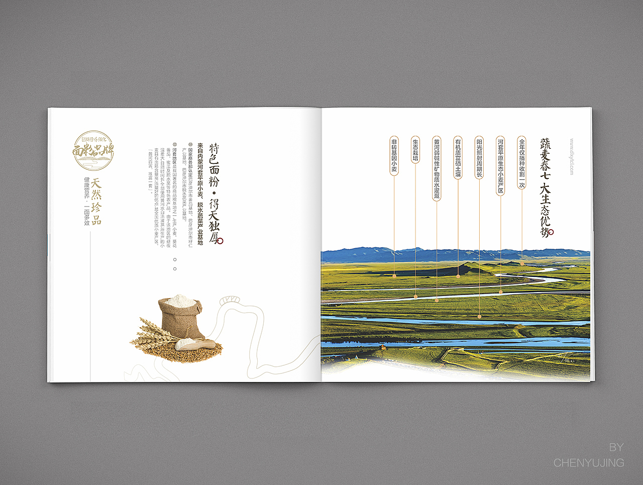 特色面粉--产品品牌设计