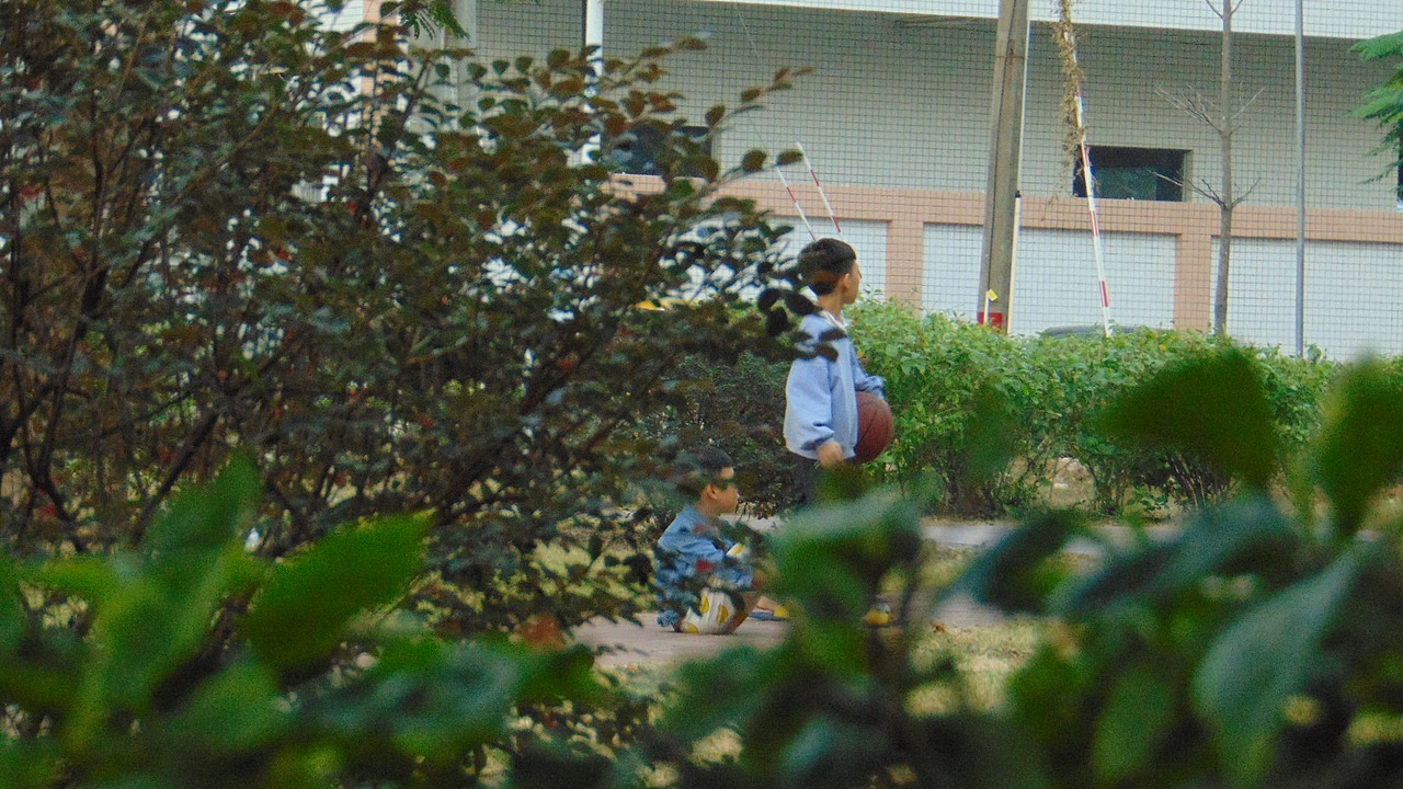 摄影2020..11.10(下)