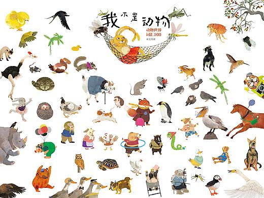 动物世界词汇100——我不是动物！ 