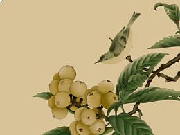 板繪·枇杷山鳥