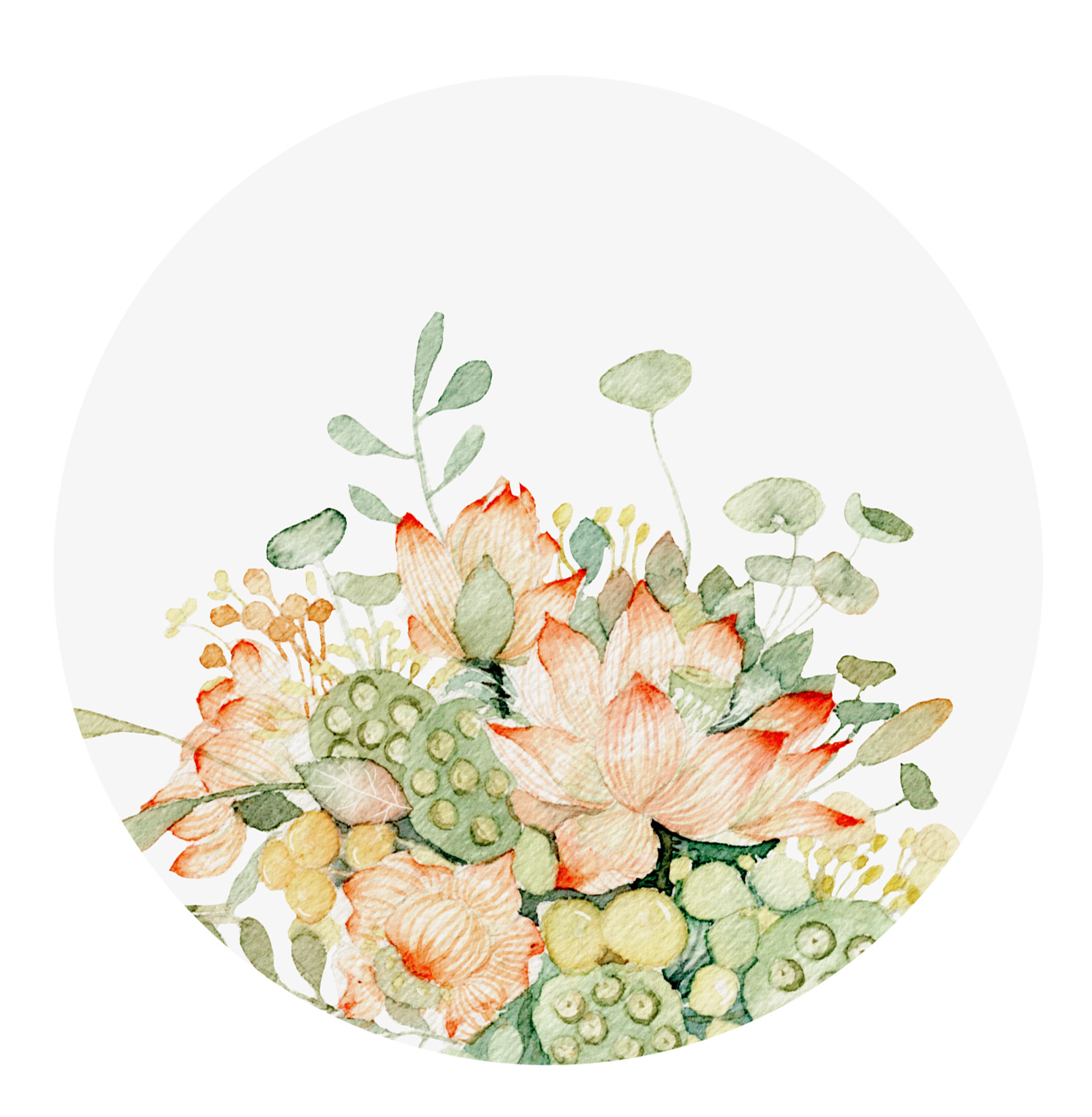 森林系莲花(附过程)|插画|商业插画|瑶背背 - 原创作品 - 站酷 (zcool