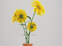 C4D建模渲染-花瓶