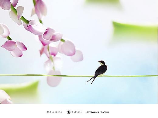 食摄马也·CHINA驰系列 | 廿四节气-春分