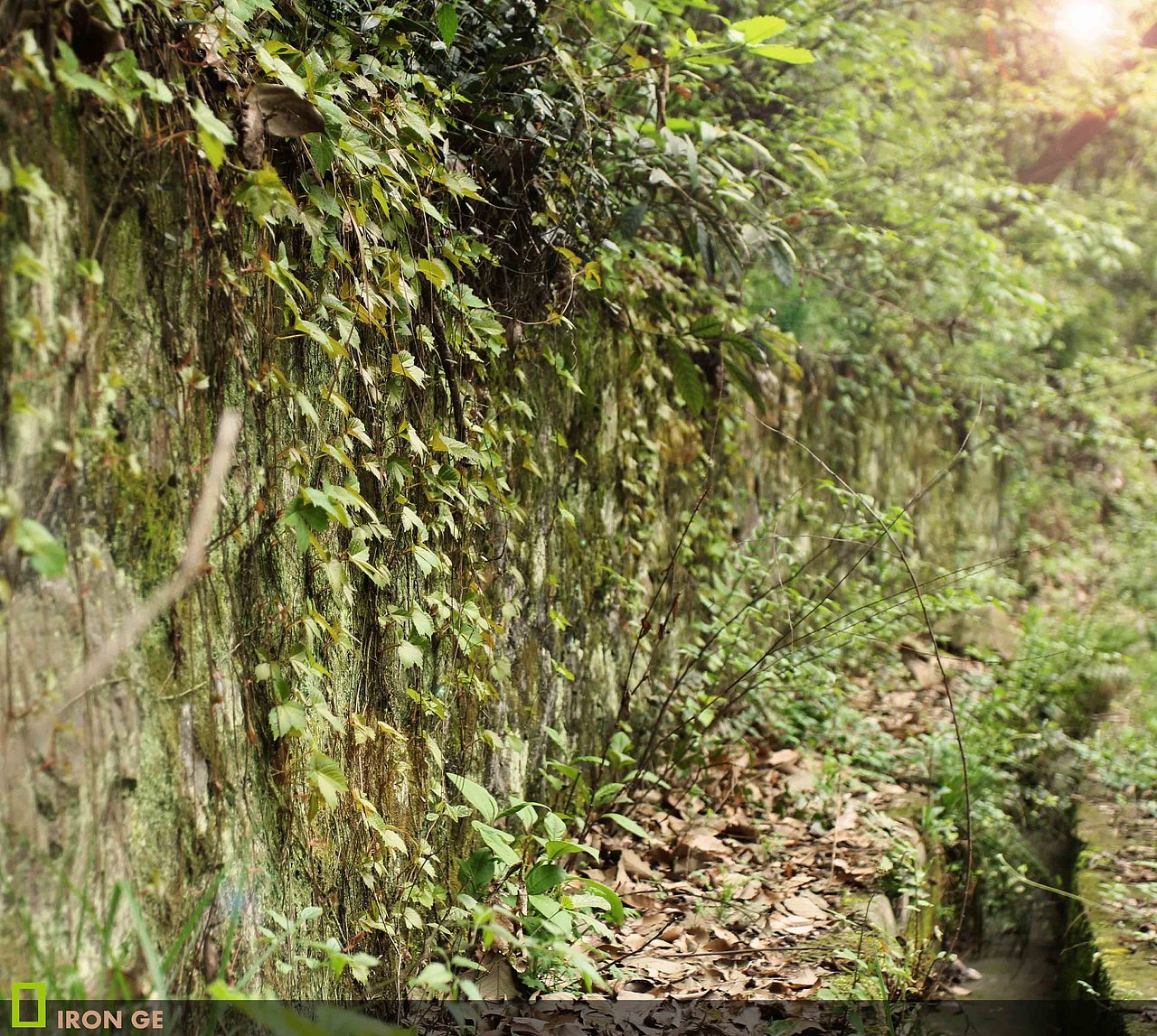 我喜欢到处散步~（图ZNTQ5NTEzMg==） - 风光摄影 - 站酷设计师iron1985原创素材 - 站酷ZCOOL