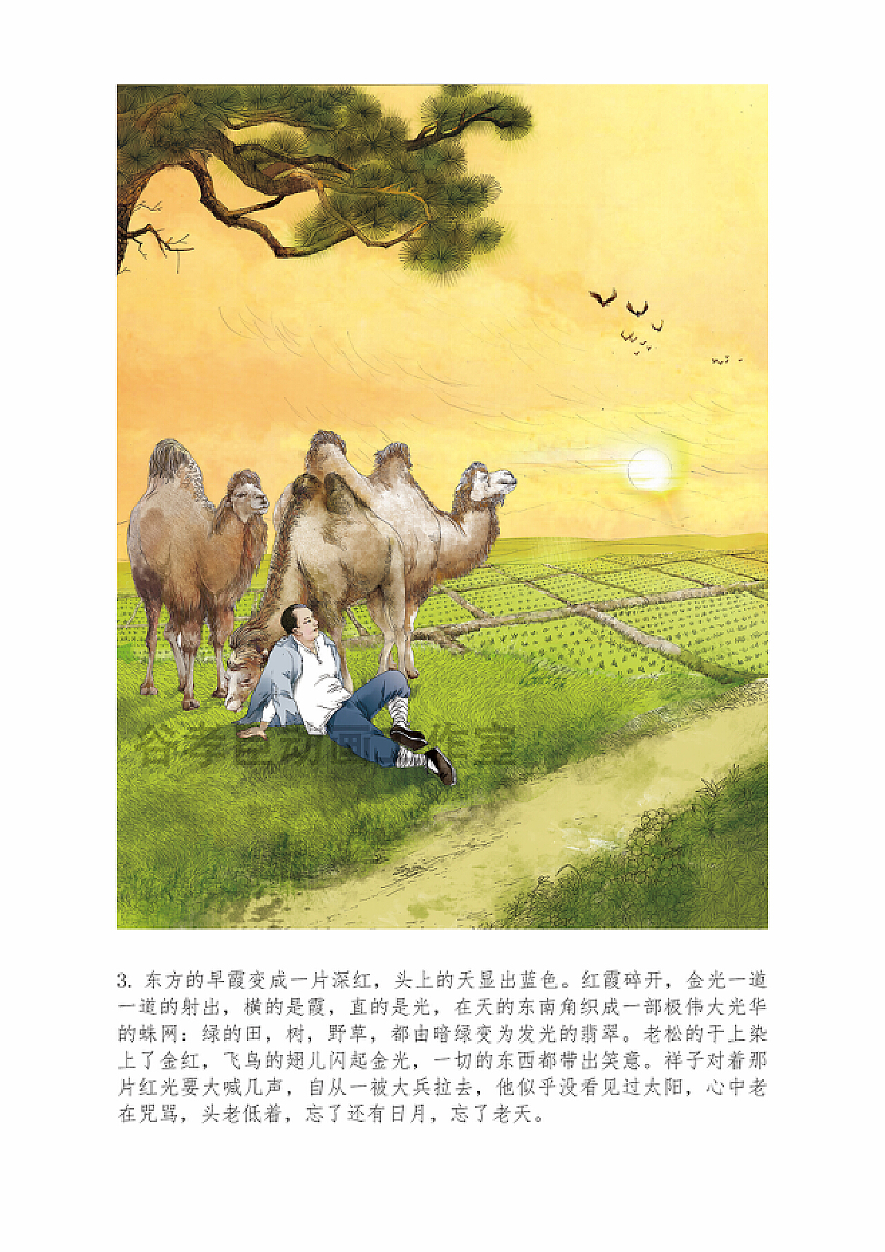 《骆驼祥子》|插画|商业插画|谷孝臣动画工作室_原创作品-站酷(ZCOOL)