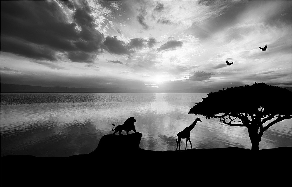 刘勇良数码艺术:影系列之二