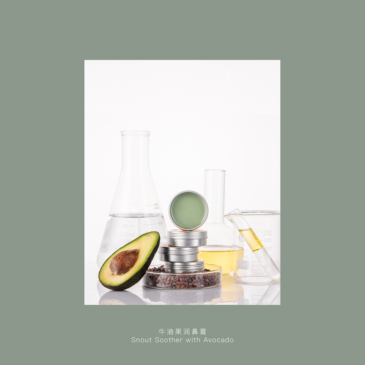 2020春季视觉海报 | Amo Petric阿默宠物护理品牌