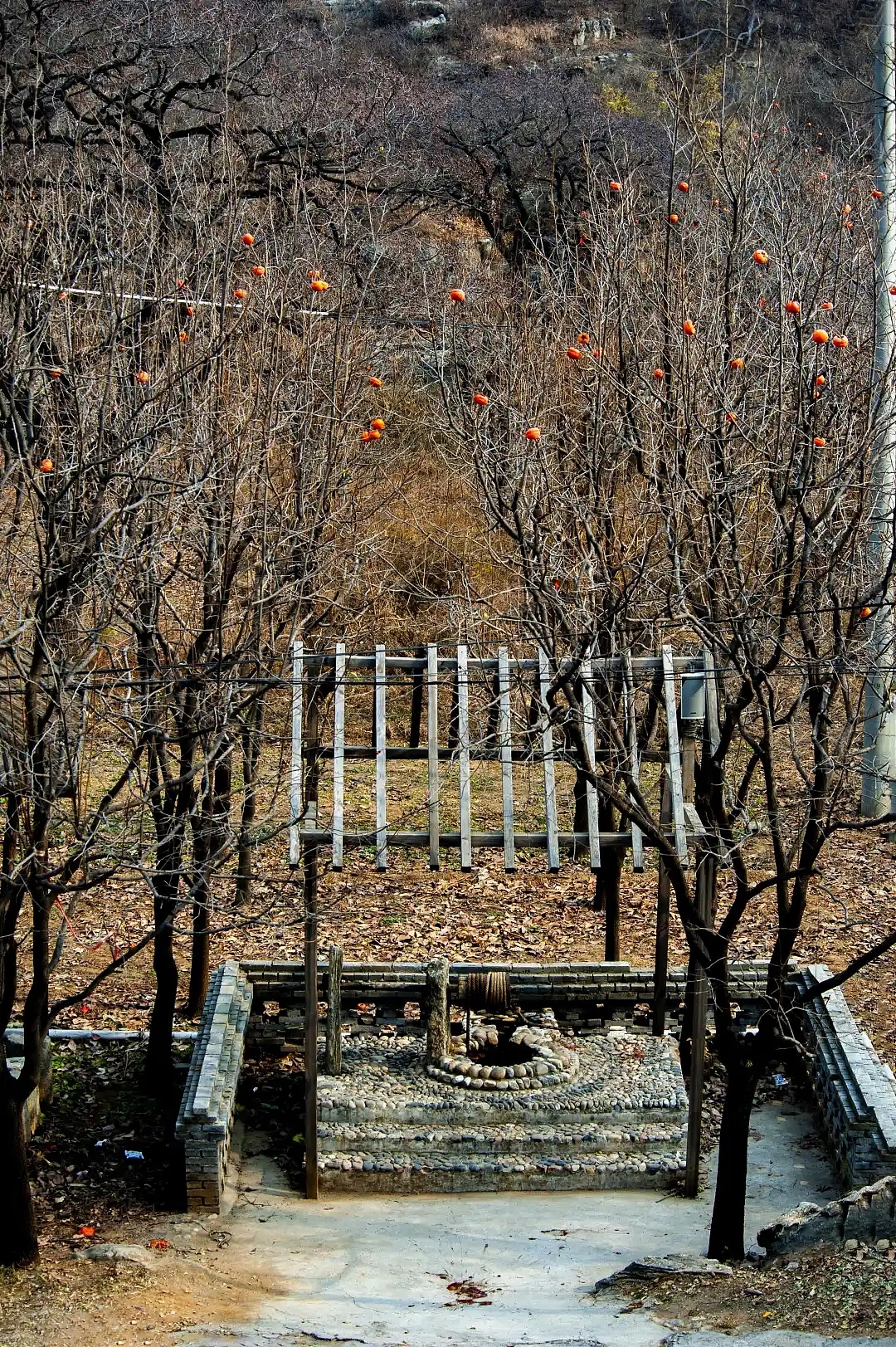 大山深处，收获的喜悦（图ZMjMzNDc2MzI4） - 风光摄影 - 站酷设计师JASON小郑原创素材 - 站酷ZCOOL