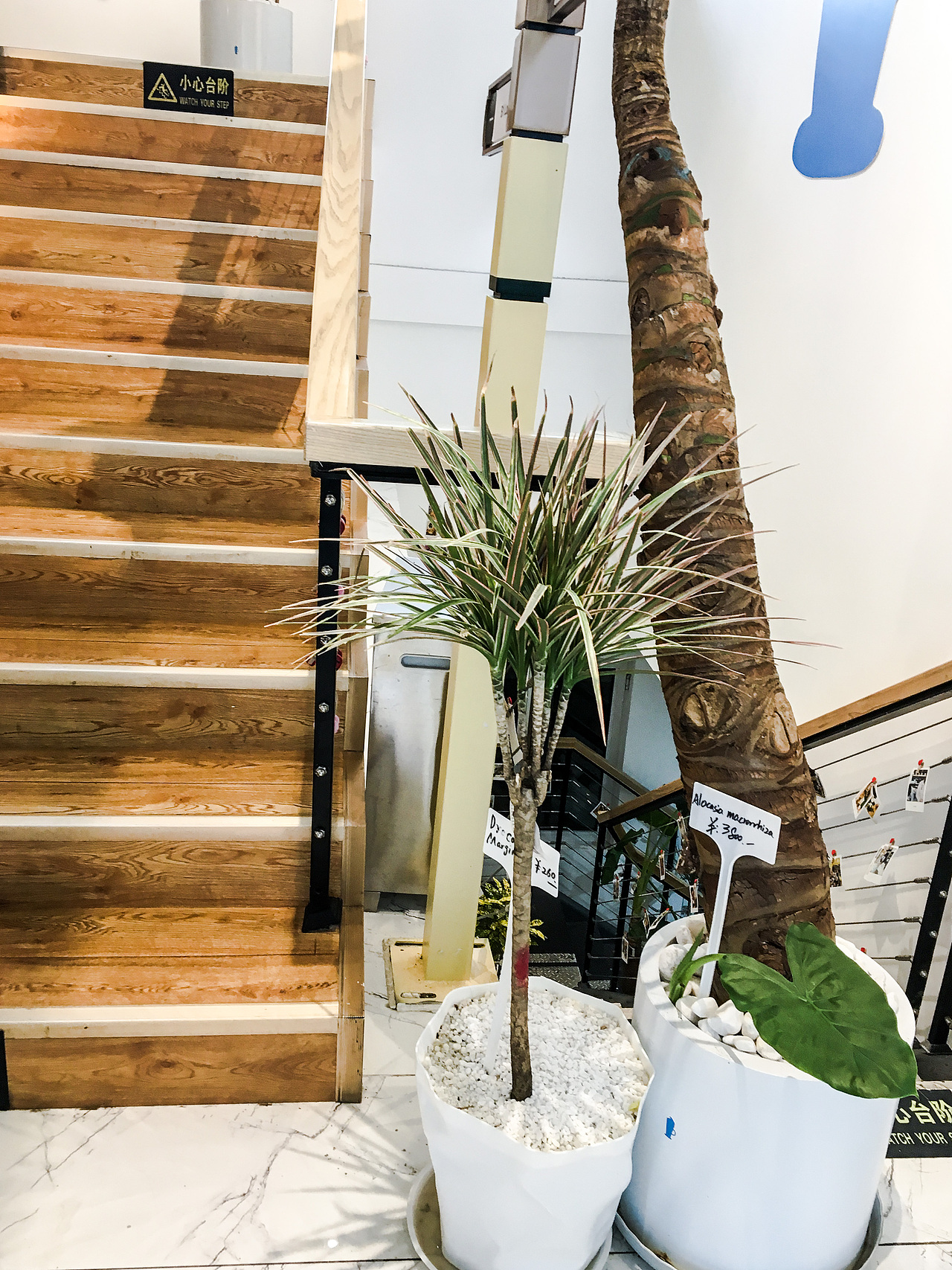 邂逅一家店（图ZMTA4MTgyMDQ0） - 环境/建筑摄影 - 站酷设计师仰天大笑出门去3原创素材 - 站酷ZCOOL