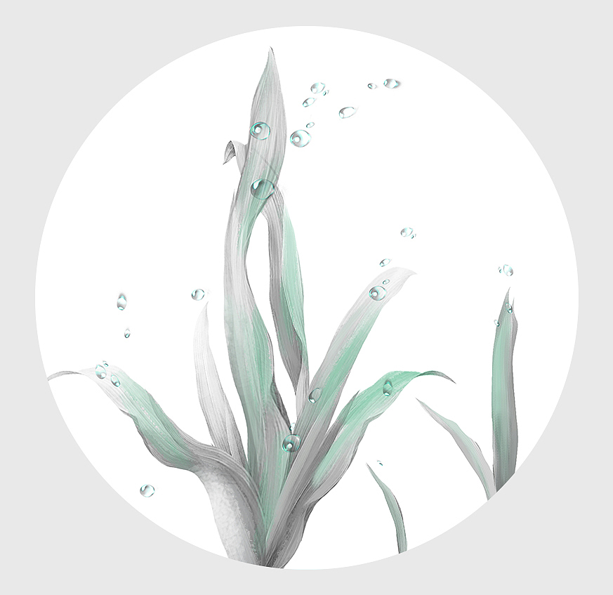 包装插画（图ZMTEzMzEyNzky） - 商业插画 - 站酷设计师Talina娜原创素材 - 站酷ZCOOL