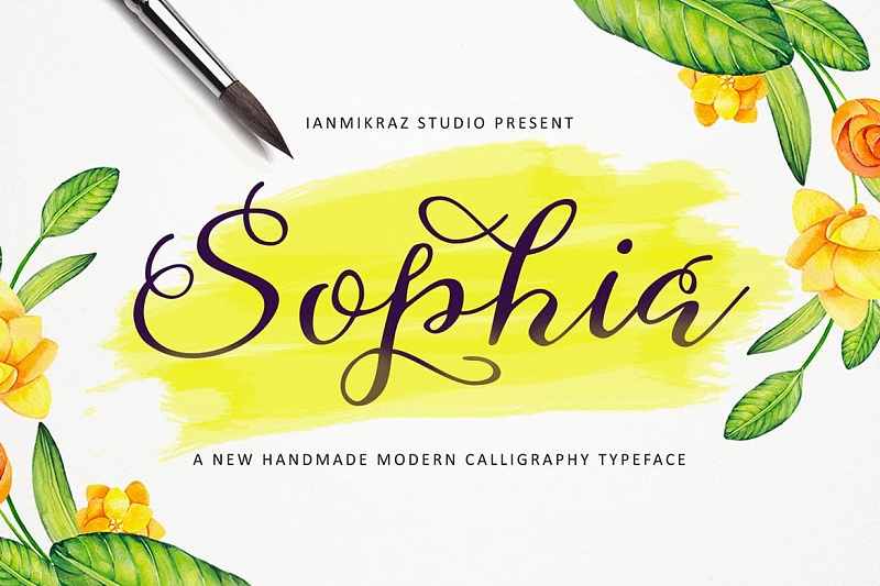 sophia s cript价格:envato elements订阅watch是一种带有涂鸦风格