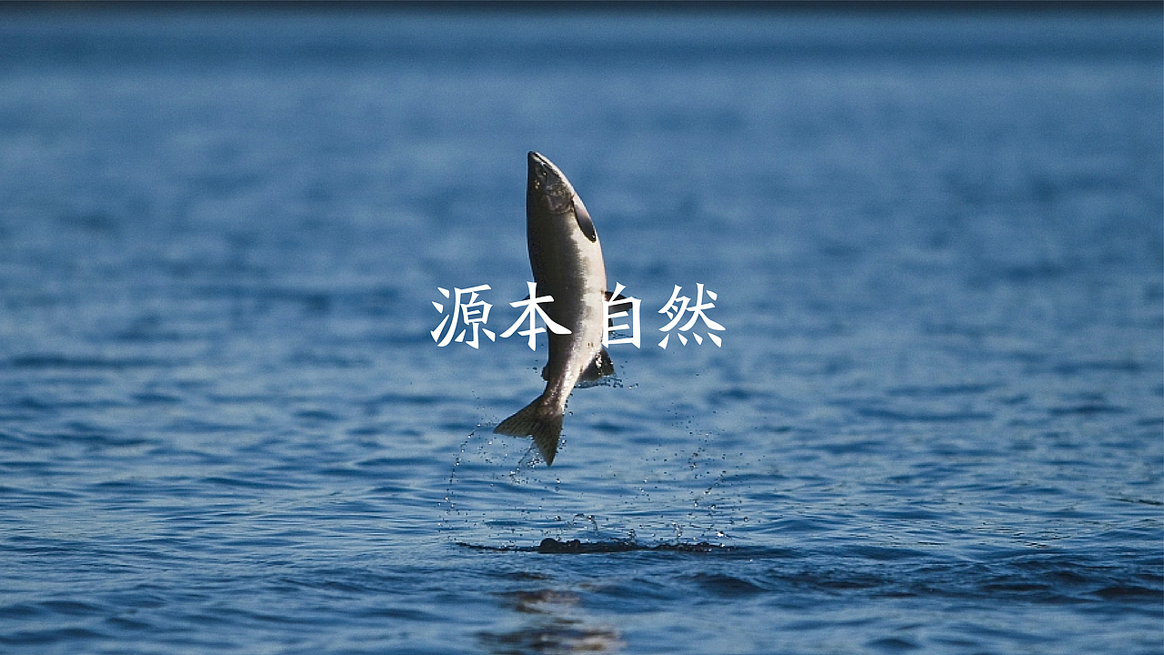 鲜达摩新派粤菜
