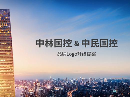 中林国控&中民国控品牌形象战略升级