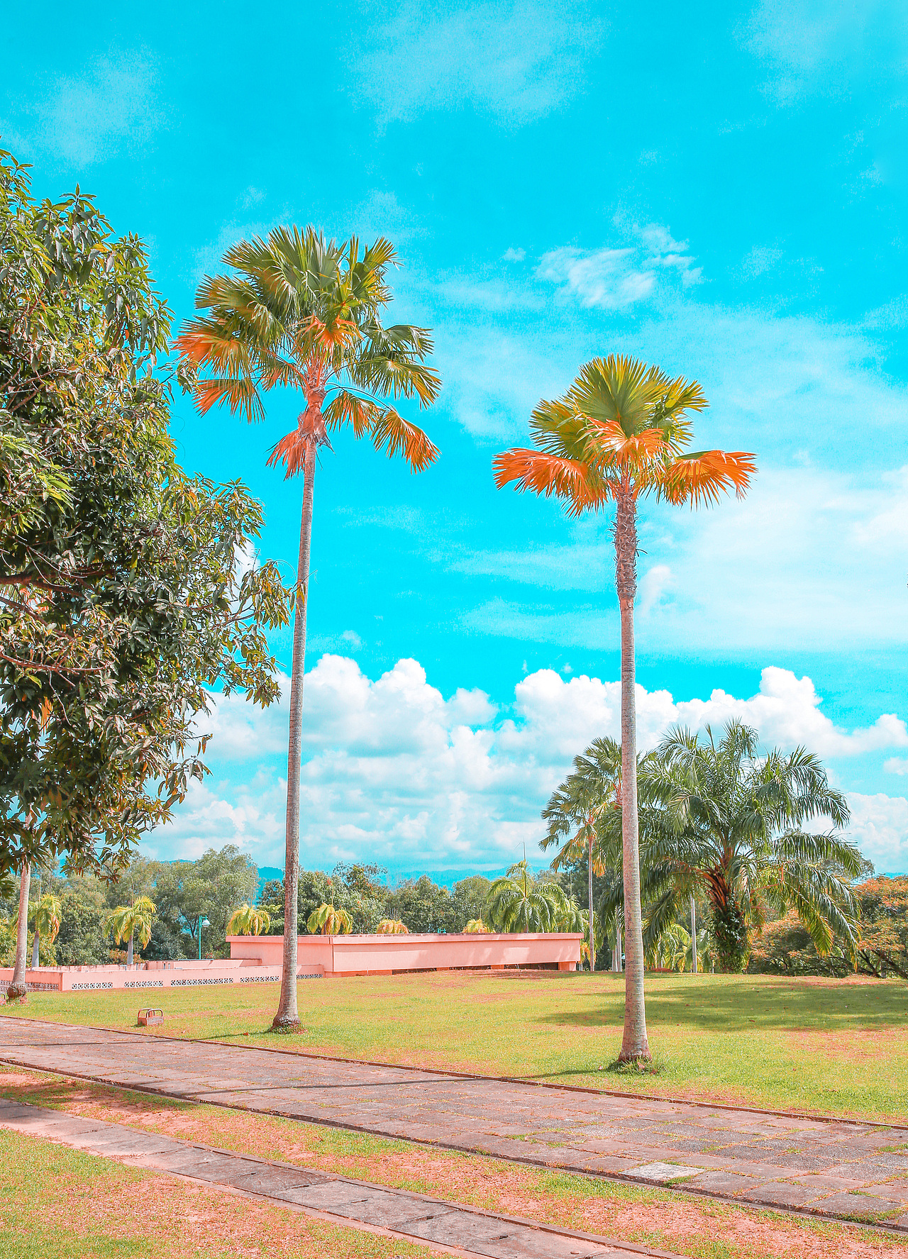 马来西亚沙巴大学之粉红清真寺