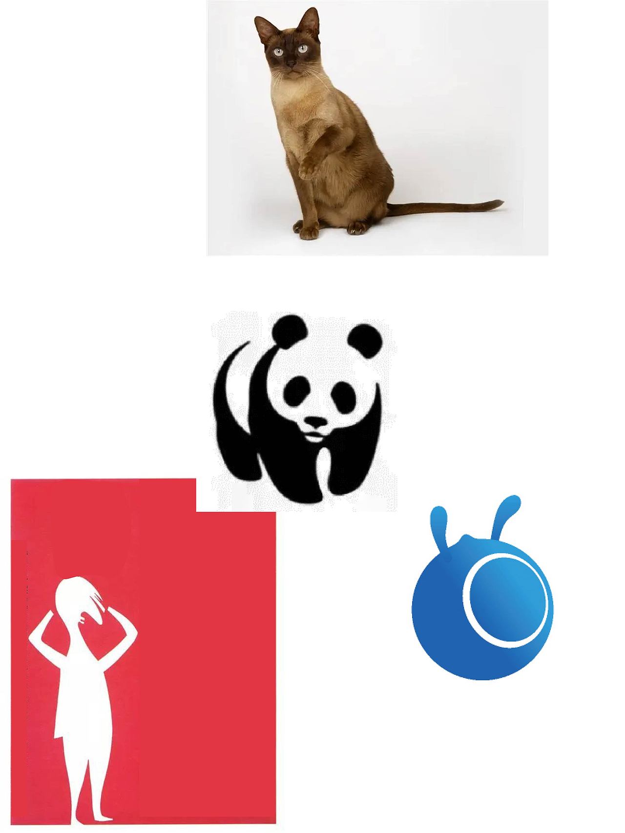 动物世界 萌宠头像设计 手机背景图片设计创意（图ZMzc5NjM0ODcy） - 实验艺术 - 站酷设计师无色为无原创设计原创素材 - 站酷ZCOOL