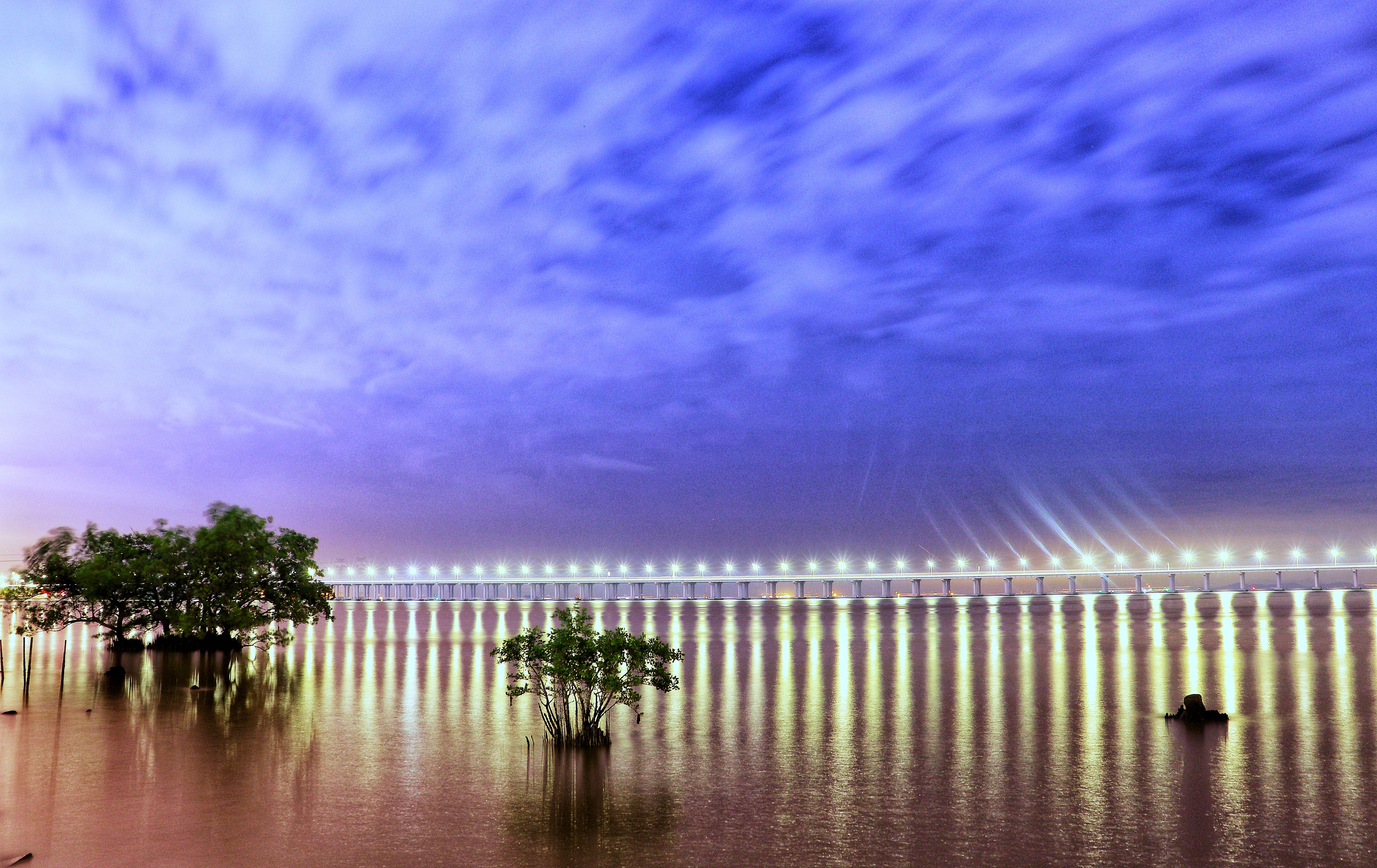 深圳西湾红树林的夜景|摄影|风光|chok钊 - 原创作品 - 站酷 (ZCOOL)
