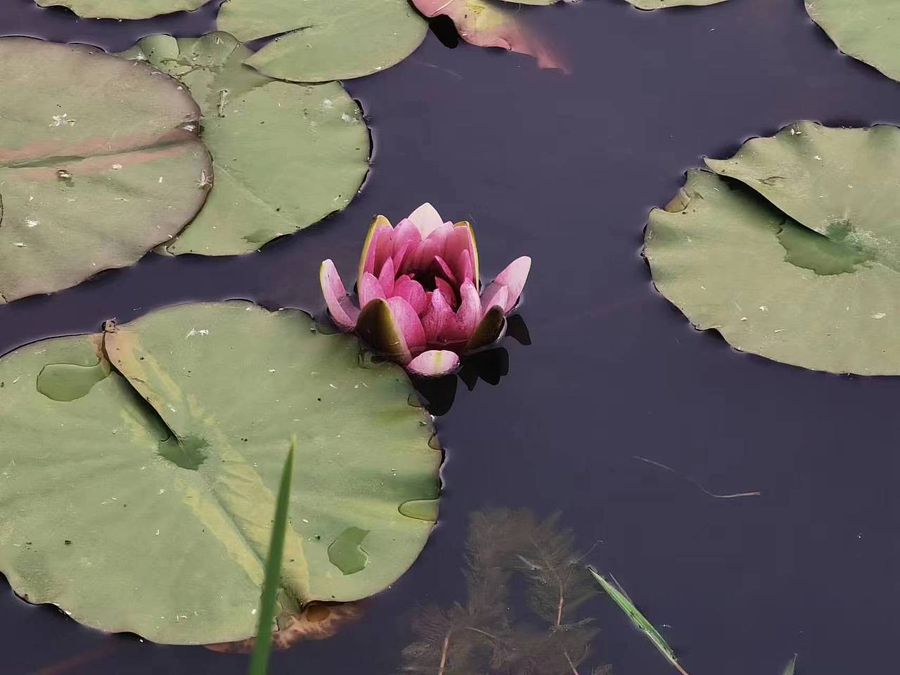 旅拍（圖ZMzM5OTAwMTMy） - 風(fēng)光攝影 - 站酷設(shè)計師櫻桃軟子原創(chuàng)素材 - 站酷ZCOOL