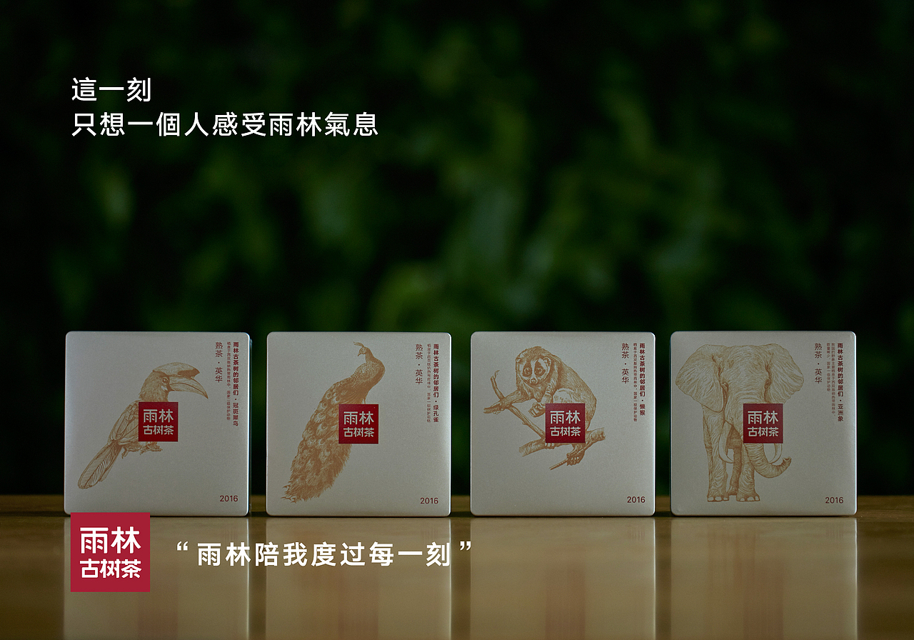 雨林古树茶品牌包装插画(图ZNjMzODA5MTI=) - 商业插画 - 站酷设计师秋岭QIULING原创素材 - 站酷ZCOOL