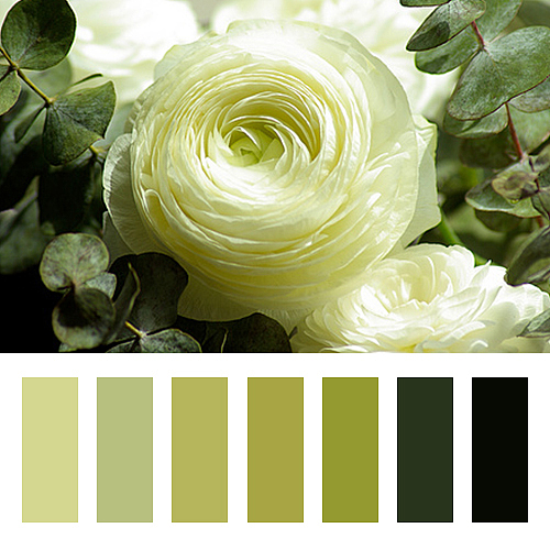 颜色搭配（图ZNjY4ODkwNDA=） - 其他 - 站酷设计师汀苔HJNO111原创素材 - 站酷ZCOOL