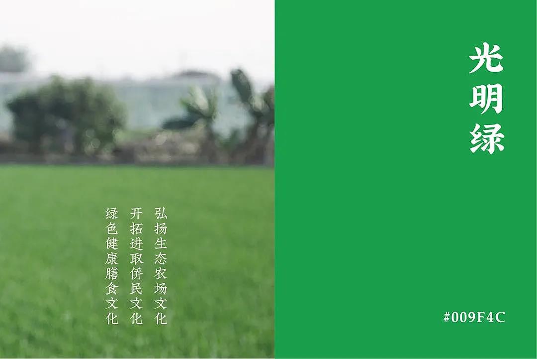 熊猫品牌设计——光明鸽(图ZMjExMzQ5NjUy) - 品牌 - 站酷设计师pandashenzhen原创素材 - 站酷ZCOOL