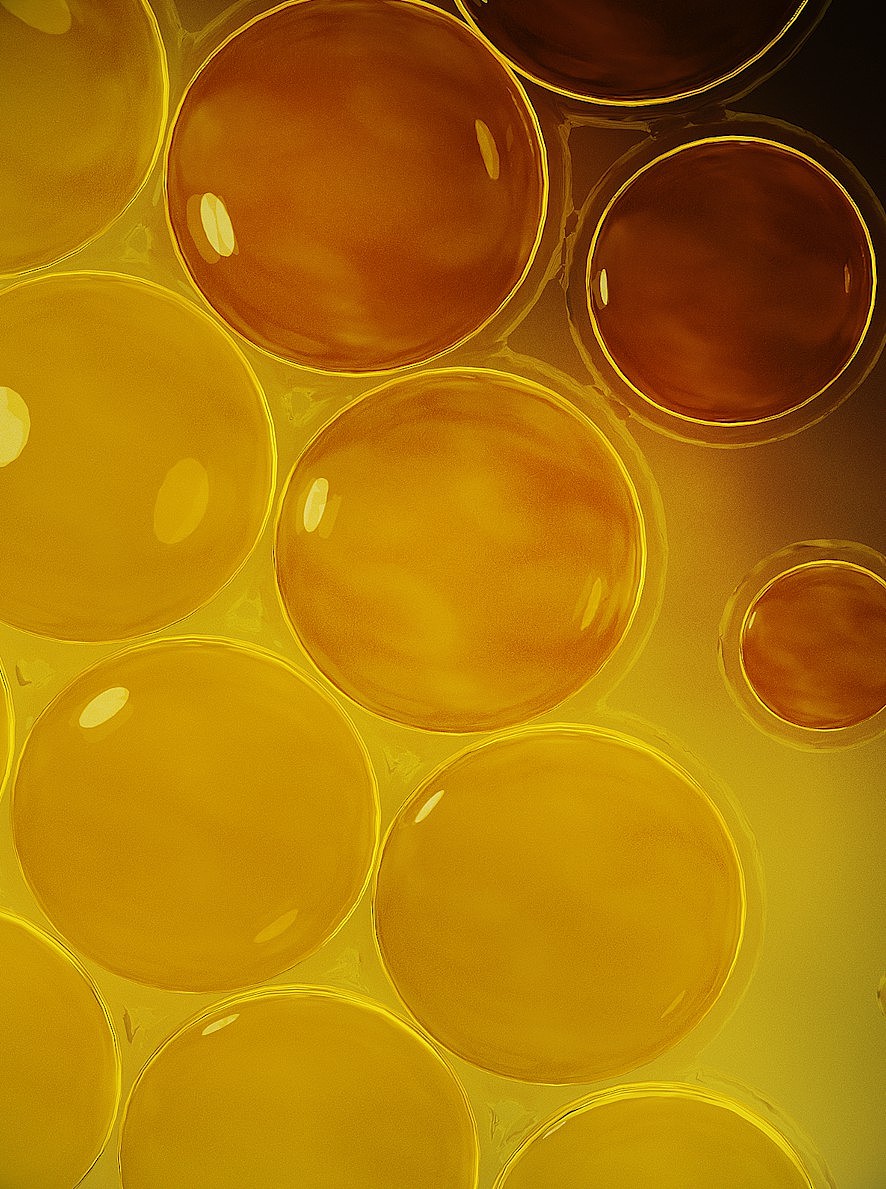 月见草油胶囊（图ZMzQxNzI4NDky） - 产品 - 站酷设计师三维设计师巍原创素材 - 站酷ZCOOL