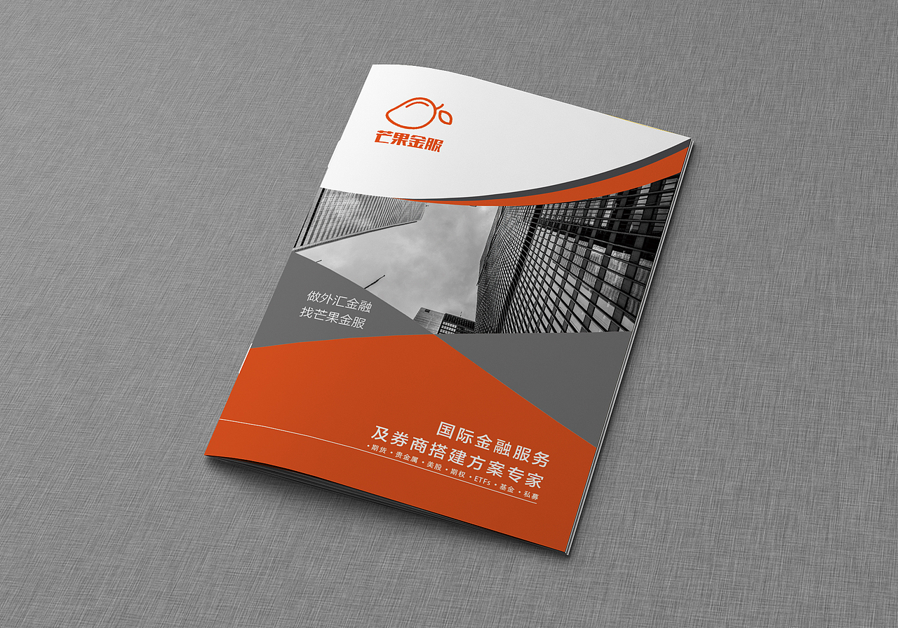 芒果金服--金融画册