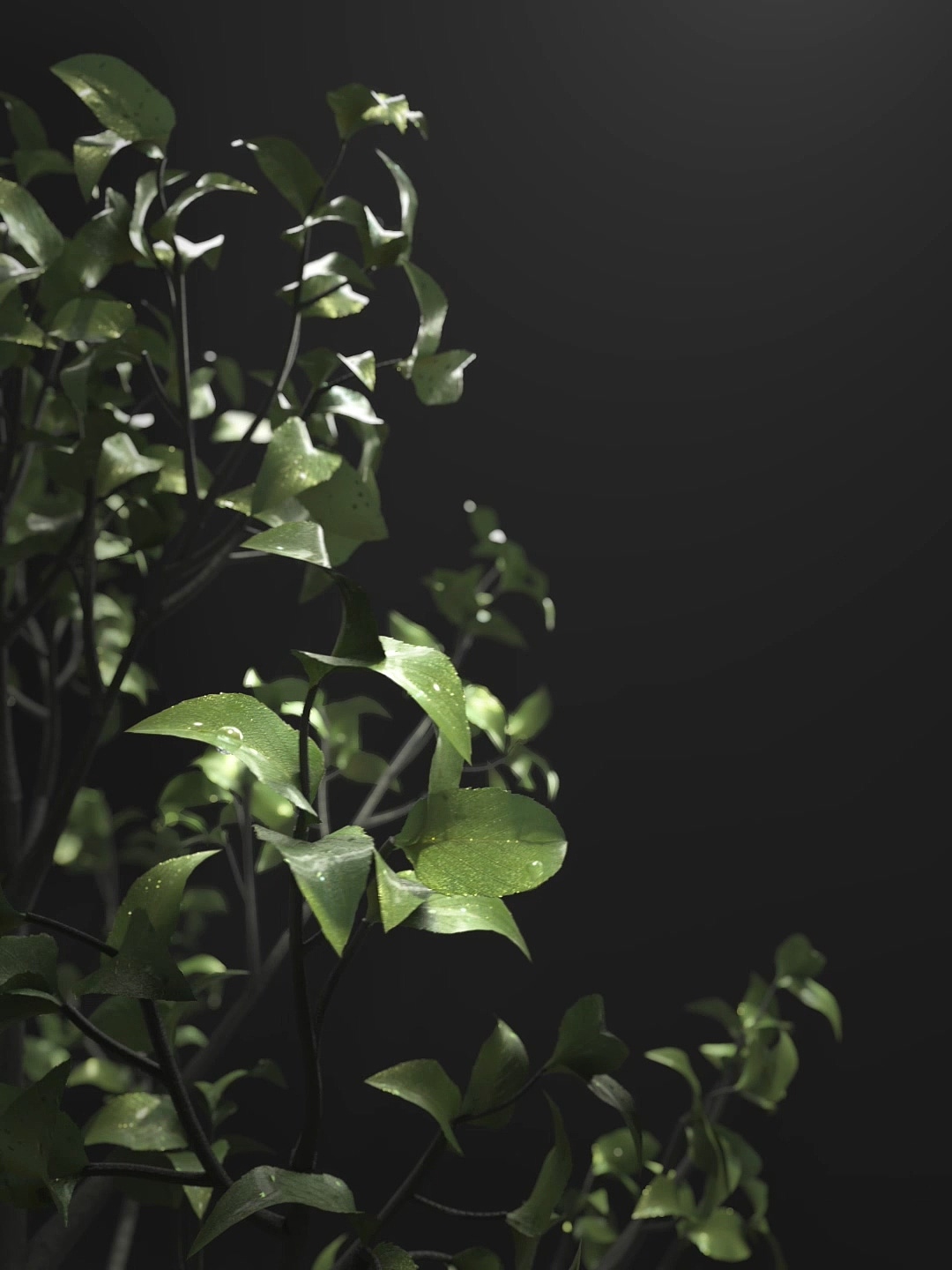 七武士 武士道风新毛笔（图ZMjI5MDU5MDQ4） - 产品 - 站酷设计师Qiampion原创素材 - 站酷ZCOOL