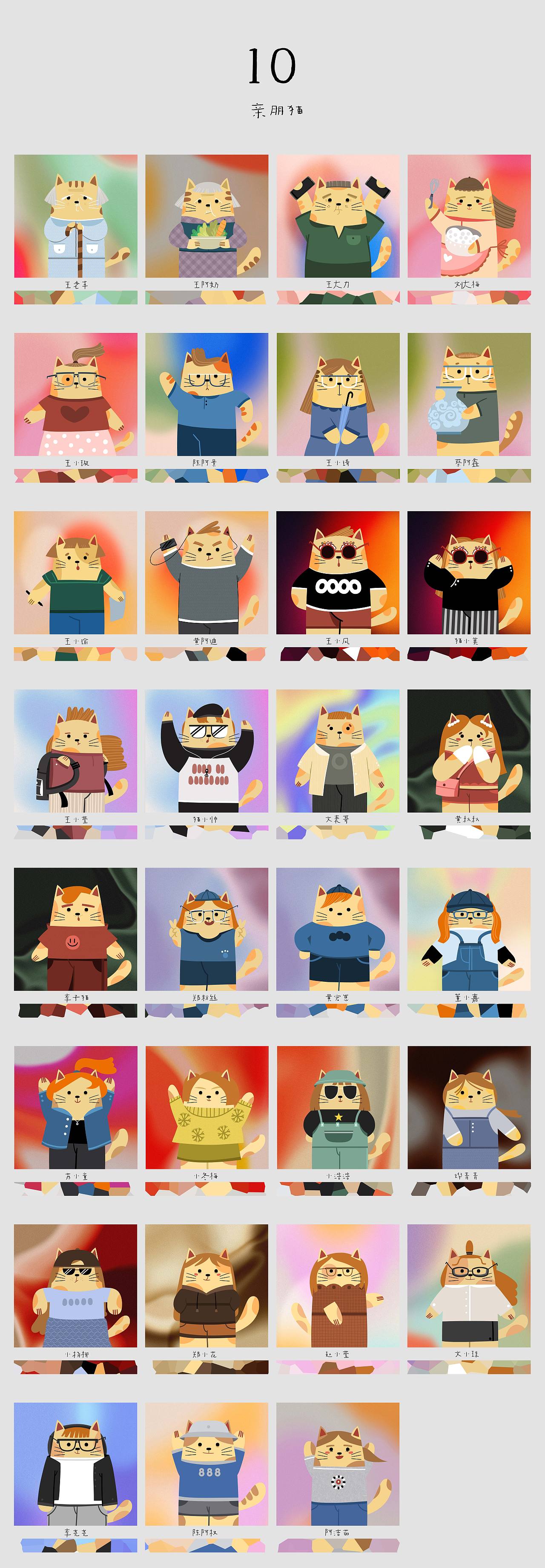 365只猫!打卡完毕,我做到啦!