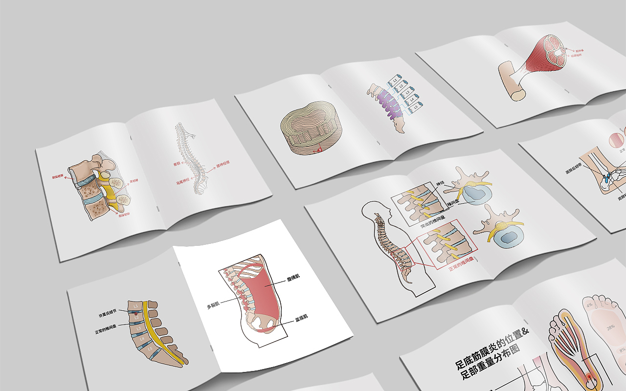醫(yī)學(xué)插圖（圖ZMjE5NjgxMjY0） - 商業(yè)插畫 - 站酷設(shè)計(jì)師Abby淑淑子原創(chuàng)素材 - 站酷ZCOOL