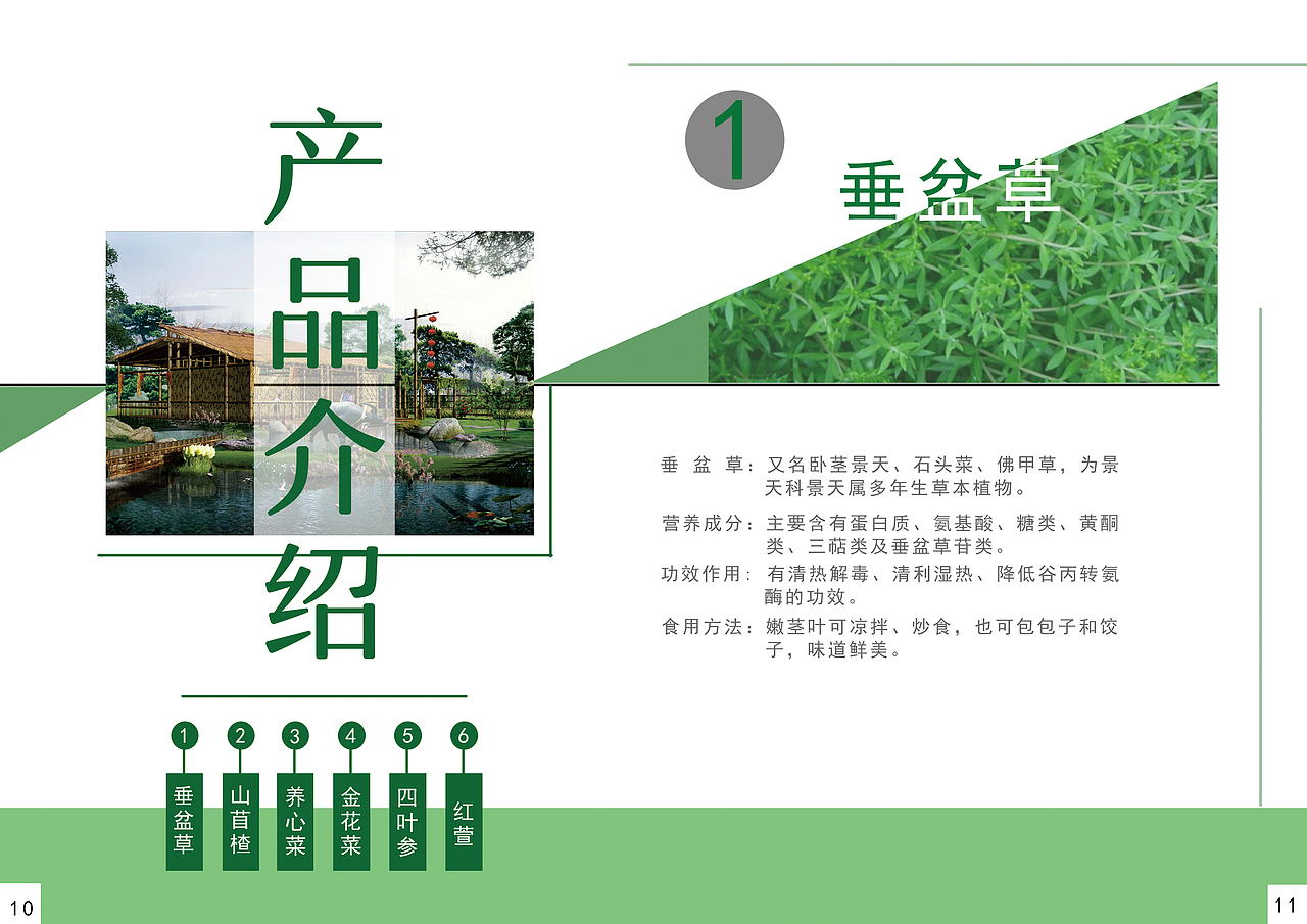 “山上有家”宣传册（图ZMTQ3MDEwMjA0） - 宣传物料 - 站酷设计师Z76745990原创素材 - 站酷ZCOOL