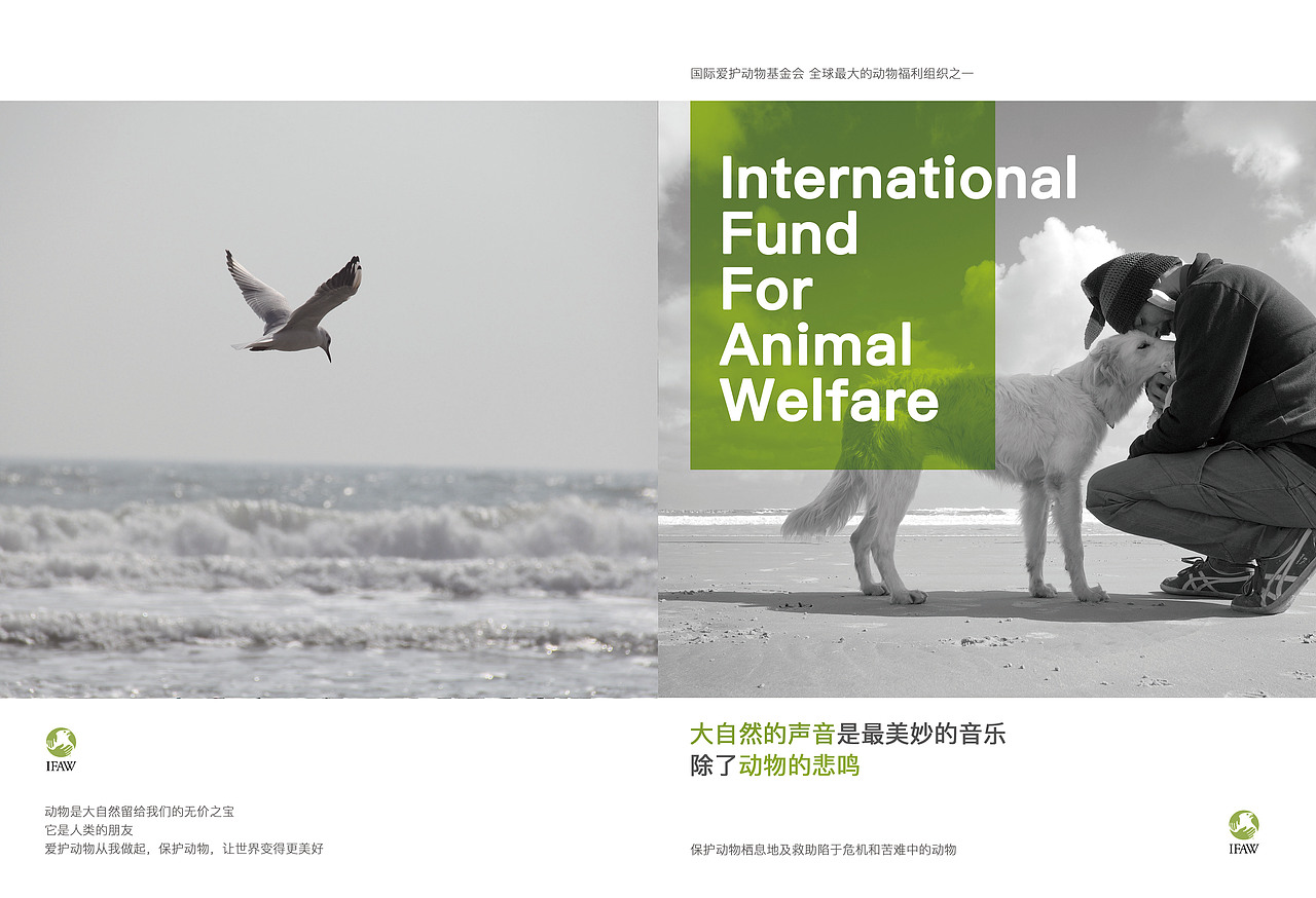画册-保护动物（图ZOTU2MzMxNzY=） - 书籍/画册 - 站酷设计师草莓味的猫er原创素材 - 站酷ZCOOL