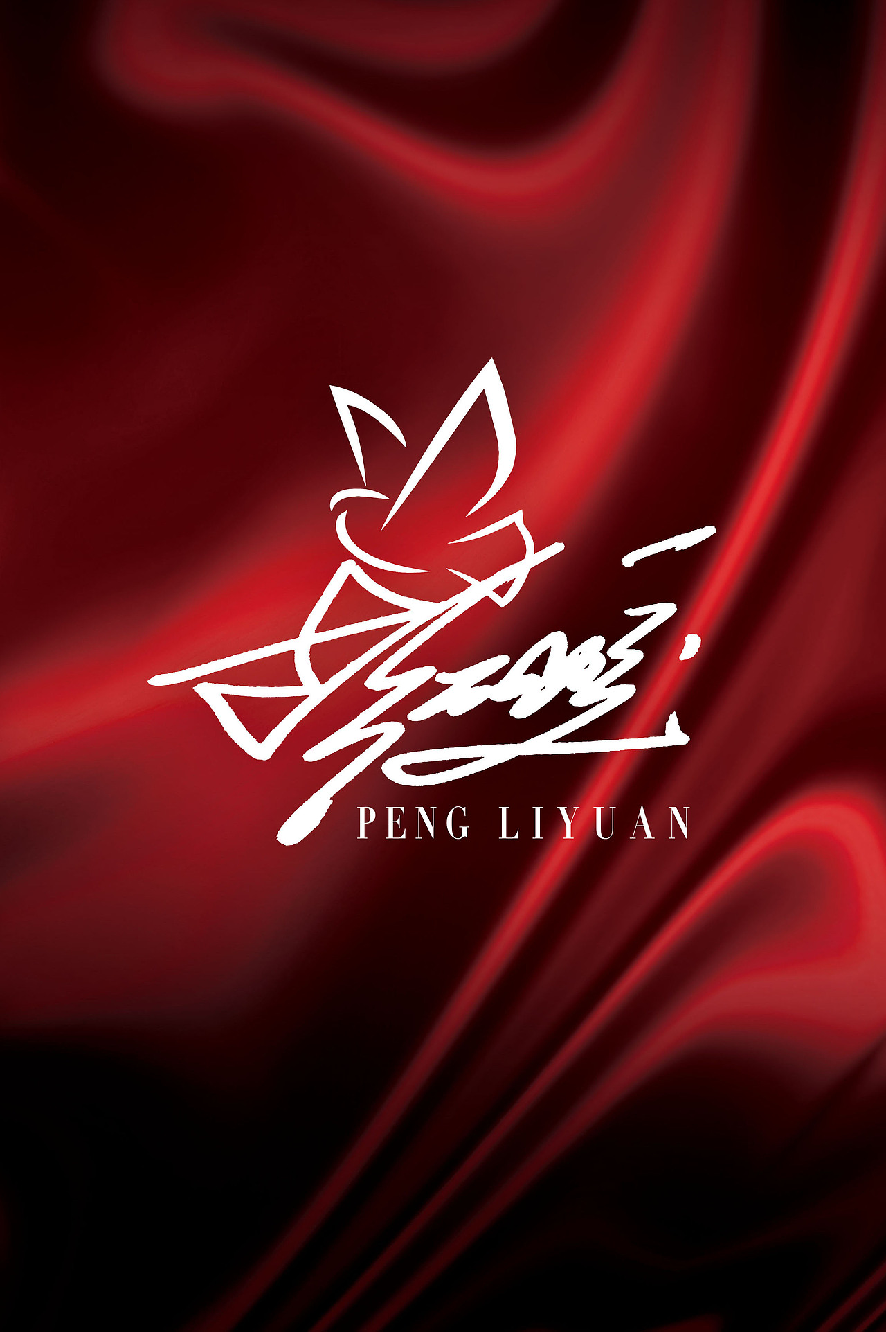 《山东的女儿》个人形象艺术设计