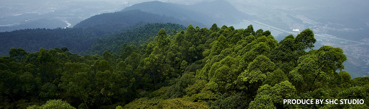 每次出去外拍总会有额外的收获