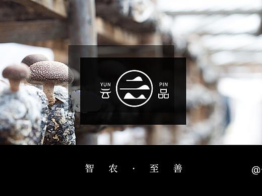 云品产业园