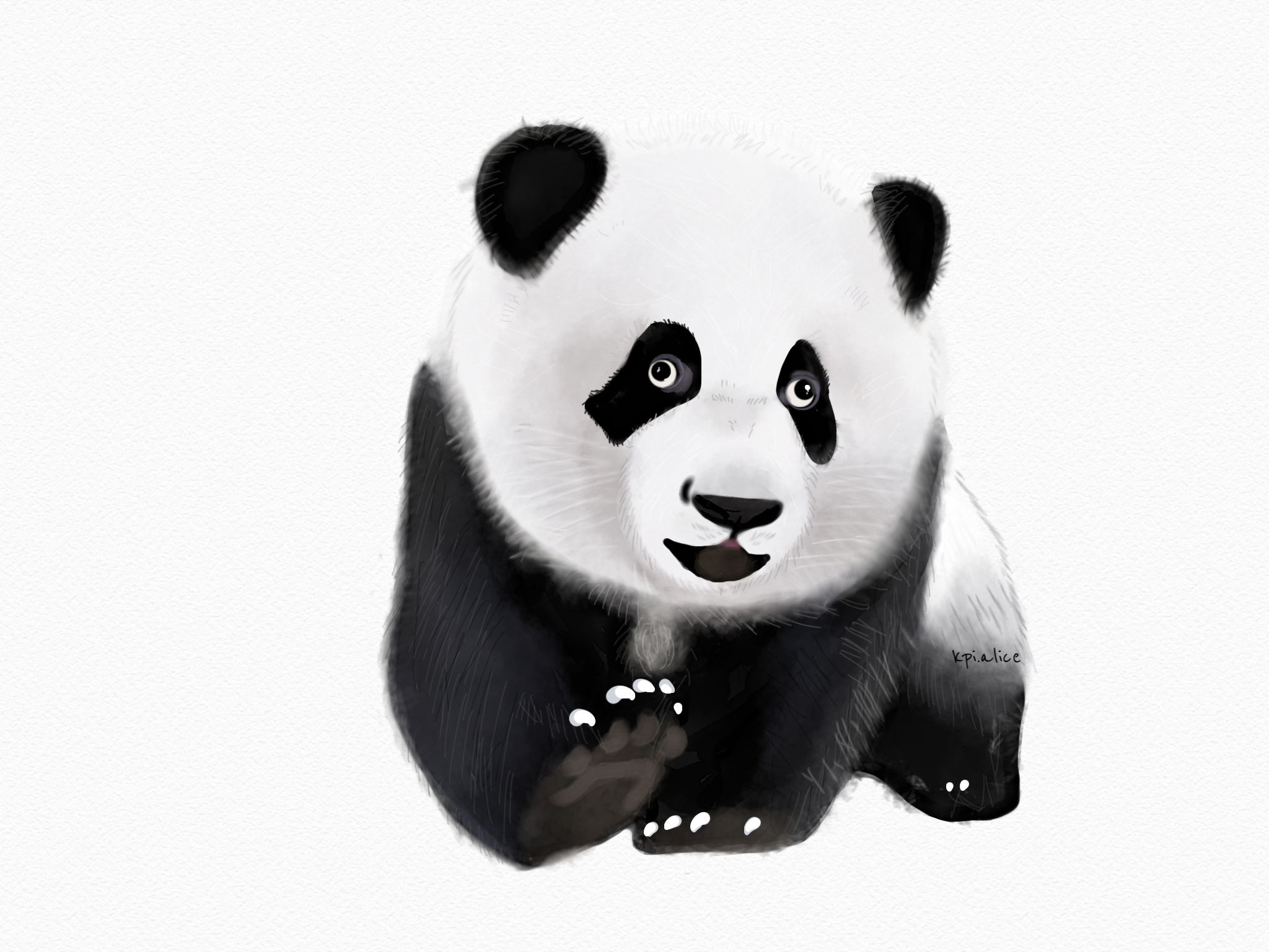 大熊猫绩笑|插画|绘本|竹子夭夭 - 原创作品 - 站酷 (zcool)