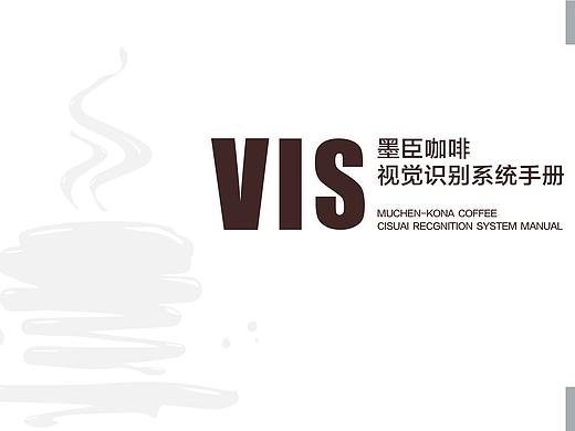 VIS