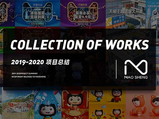 2019-2020年项目总结